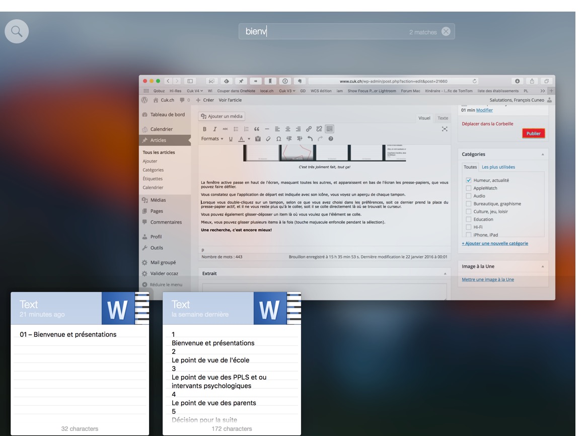 Paste, le copiercoller multiple tout simple, beau et performant Cuk.ch
