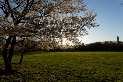 2014-04-24-06-50-09