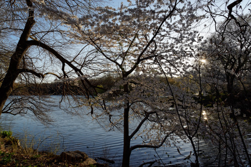 2014-04-24-06-57-44