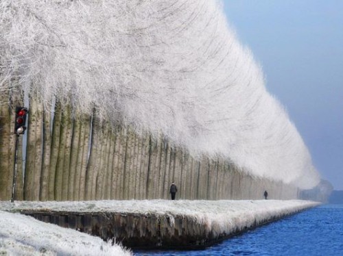 breathtaking_winter_landscapes_10