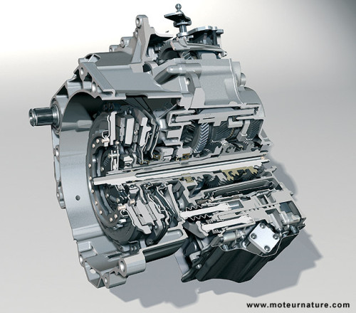 dsg1_big