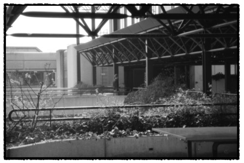 EPFL 9