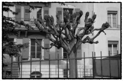 Lausanne 7