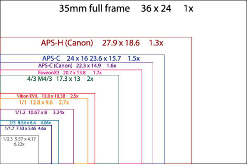On voit ici que c'est la plus petite taille de capteur existant dans un compact (image tirée du blog http://ricehigh.blogspot.com/2011/08/sensor-sizes-re-visited-including.html)