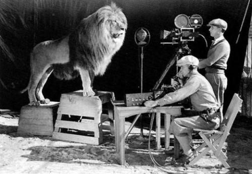 mgm
