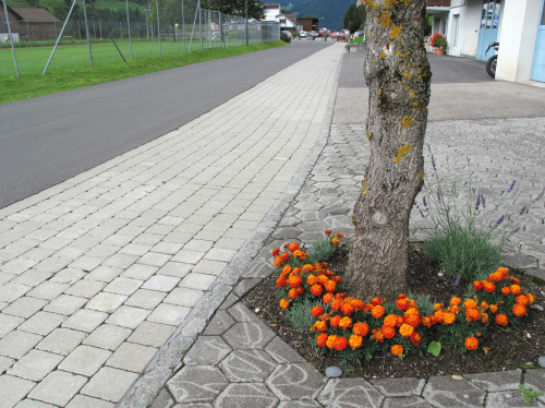 FleursArbre