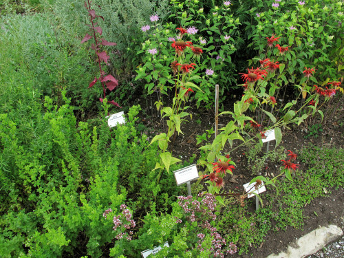 Jardin