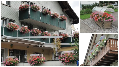ProtFleurs