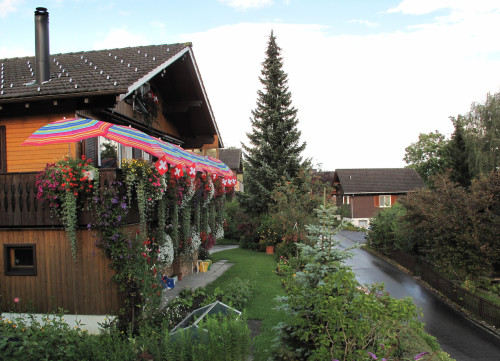 ProtFleursVoisins
