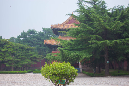 Pékin-10