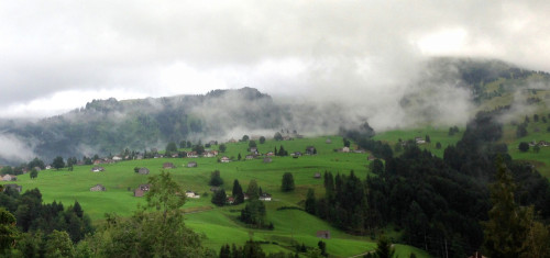 VertGris