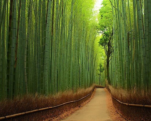 04Kyoto