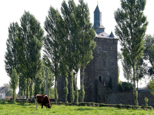 0_Sombreffe_-_Château_(2)