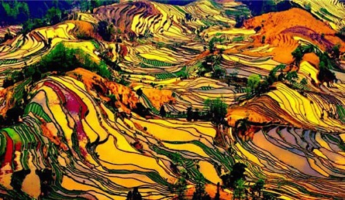 10GuilinLongjiChine