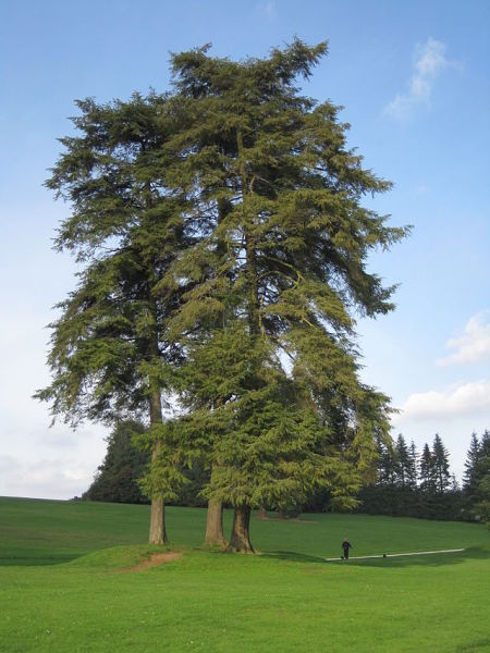 640px-Domaine_Solvay_1