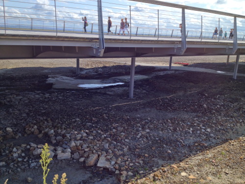 La passerelle et ses pieux