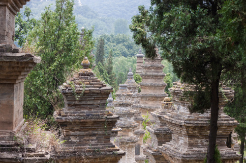 Luoyang-Xian-8