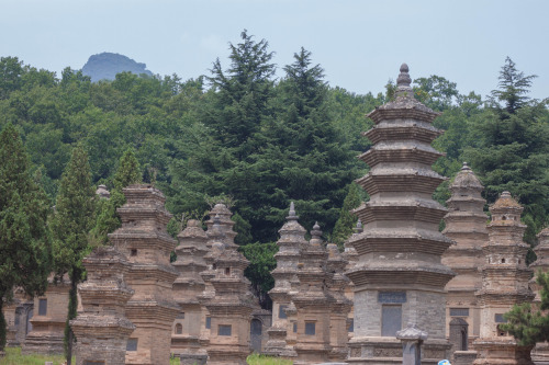 Luoyang-Xian-9