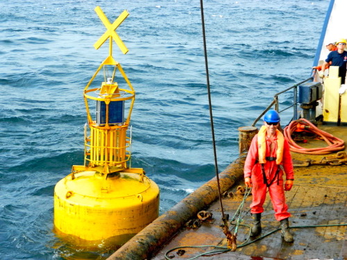 Buoy 08