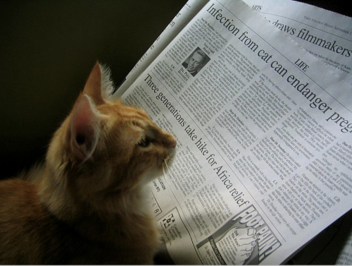 Reading_-_a_picture_gallery