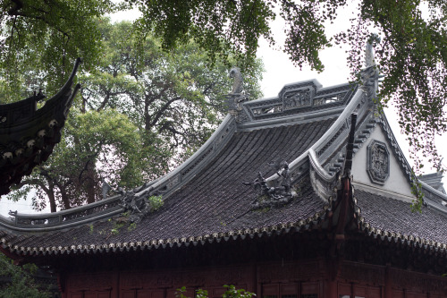 Shanghai-10