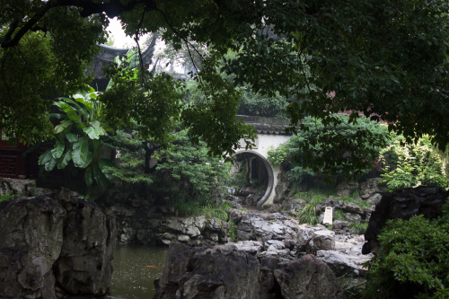 Shanghai-15