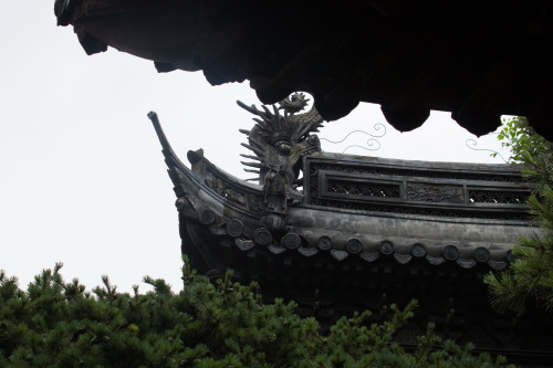 Shanghai-16