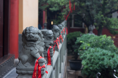 Shanghai-20