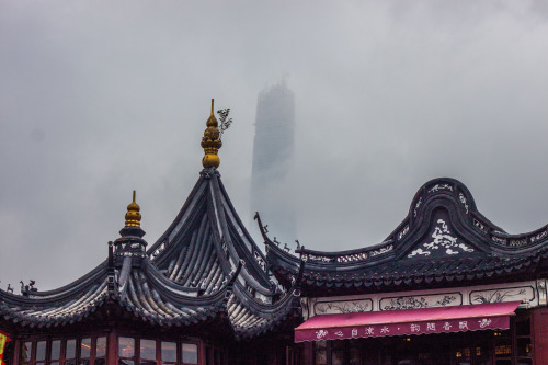 Shanghai-5
