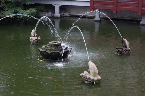 Shanghai-6