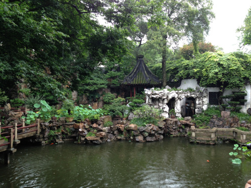 Shanghai-7
