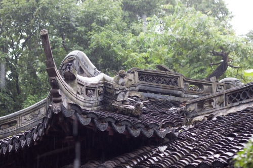 Shanghai-9