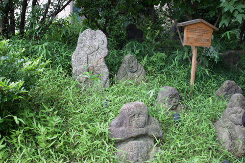 Japon-VDN-25
