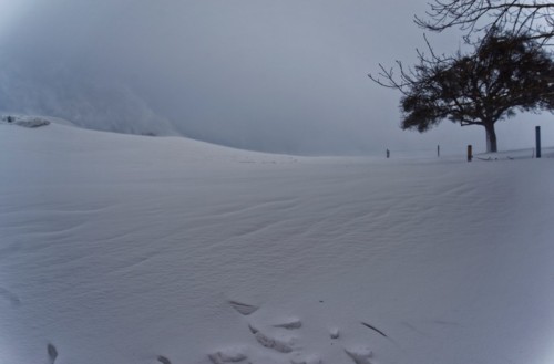 2015-02-09_21-14-47
