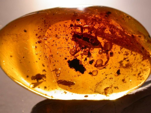 ambre