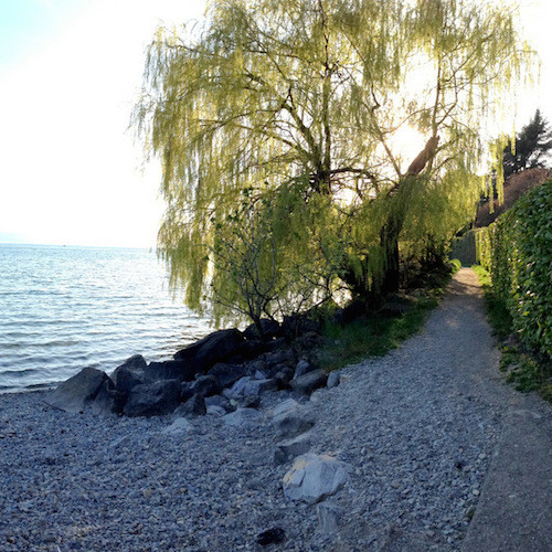 Chemin