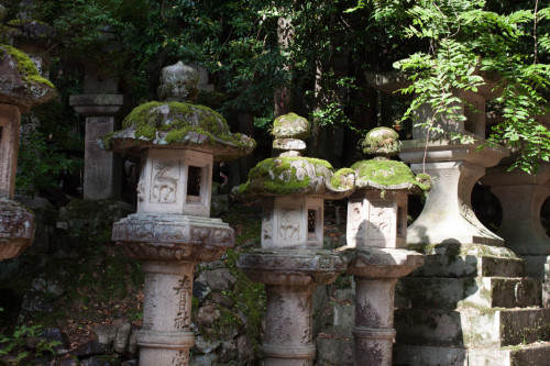 Kyoto-17