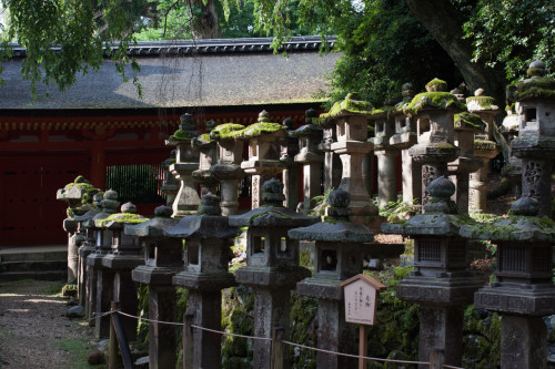 Kyoto-19