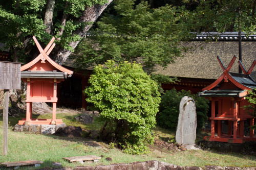Kyoto-21