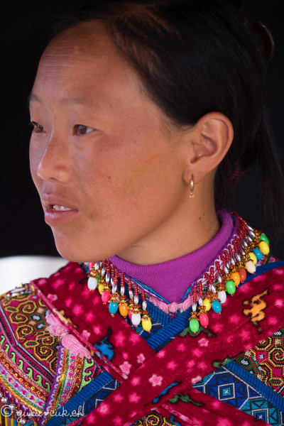 Hmong Fleur (ou Bariolé)