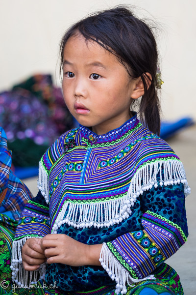 Hmong Fleur (ou Bariolé)