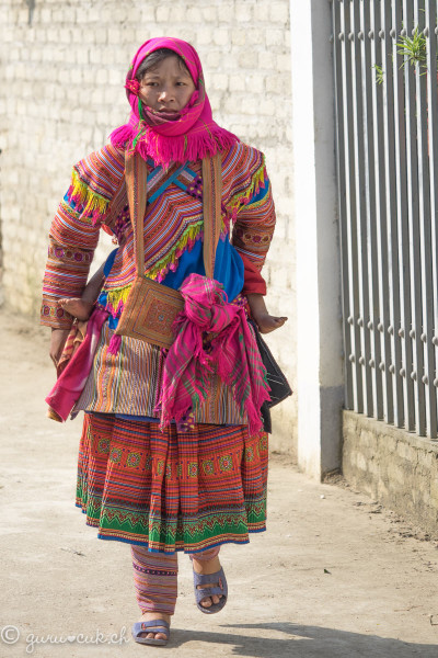 Hmong Fleur (ou Bariolé)
