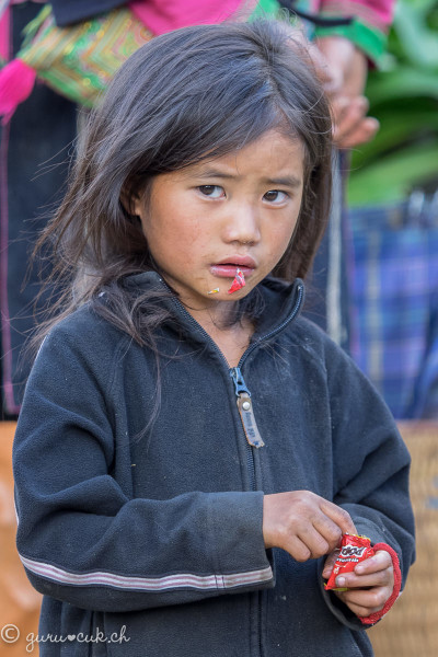 Hmong Noir 05
