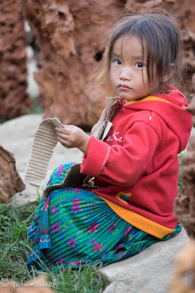 Hmong Noir 06