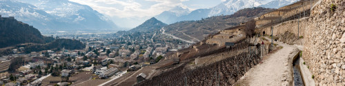 Vue sur la ville de Sion depuis le bisse de Clavau