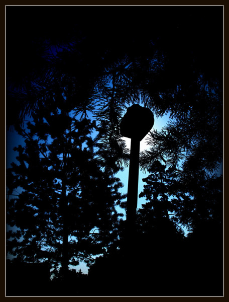 contreJour