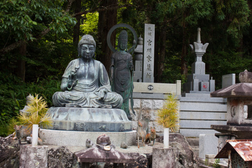 Koya-10