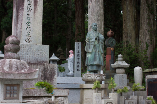Koya-12