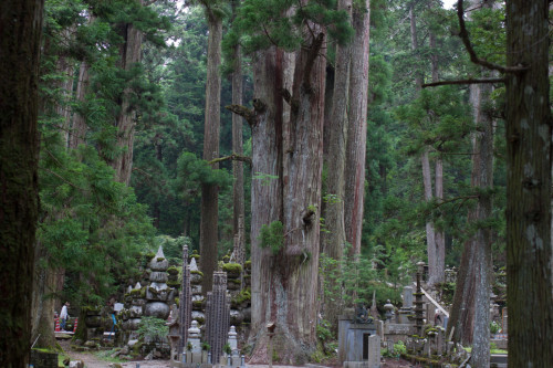 Koya-13