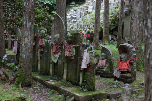 Koya-14